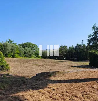 Foto annuncio 15