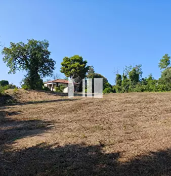 Foto annuncio 17