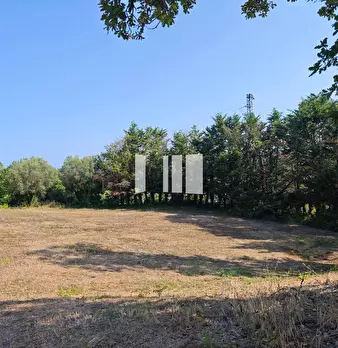 Foto annuncio 19