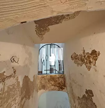 Foto annuncio 35