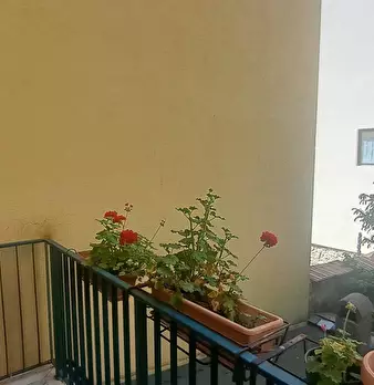 Foto annuncio 12