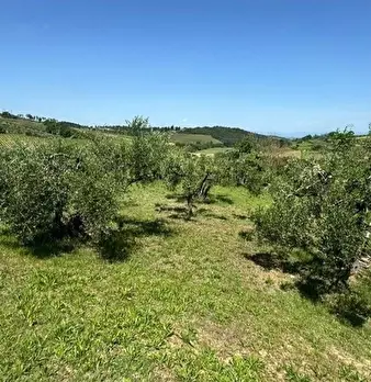 Foto annuncio 12