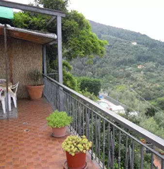 Foto annuncio 7
