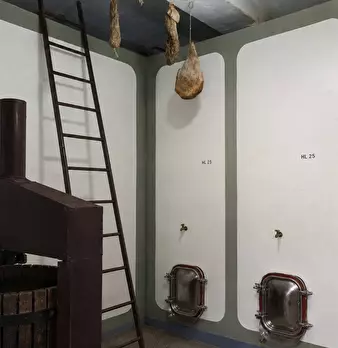 Foto annuncio 9