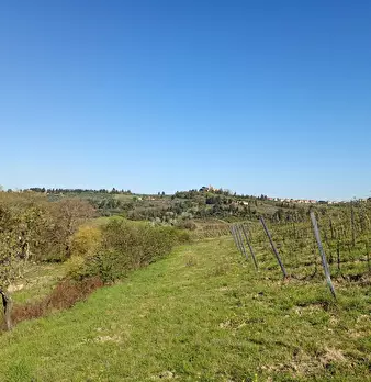 Foto annuncio 11