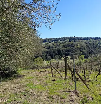 Foto annuncio 17