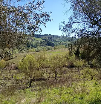 Foto annuncio 26