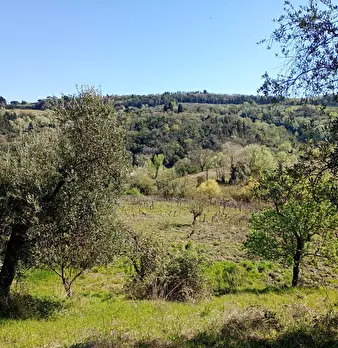 Foto annuncio 27