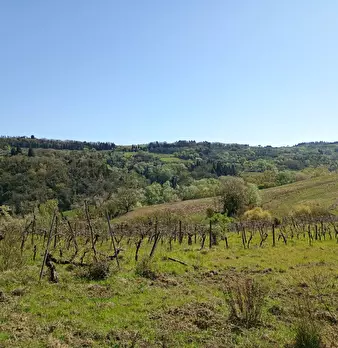 Foto annuncio 28