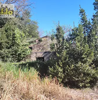 Foto annuncio 4