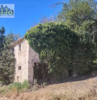 Foto annuncio 2
