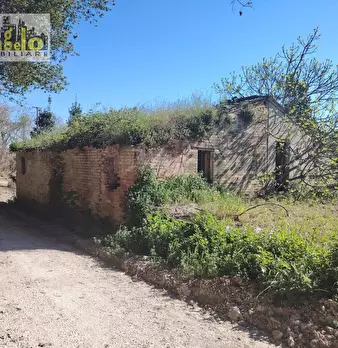 Foto annuncio 1