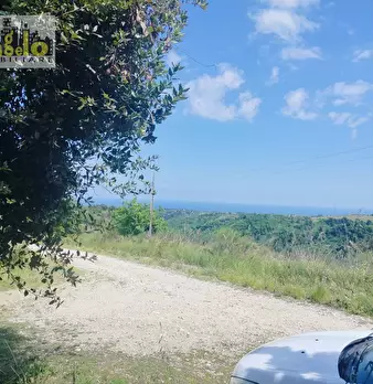 Foto annuncio 26