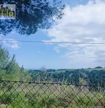 Foto annuncio 21