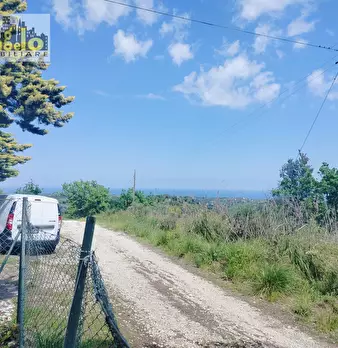 Foto annuncio 24