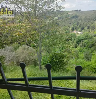 Foto annuncio 25