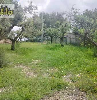 Foto annuncio 37