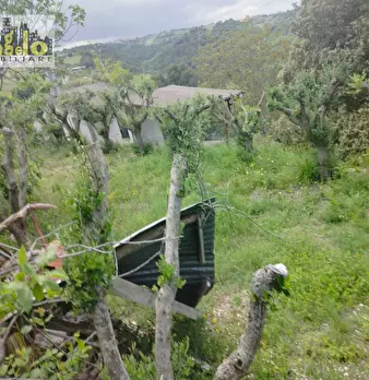 Foto annuncio 38