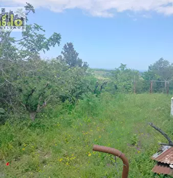 Foto annuncio 39