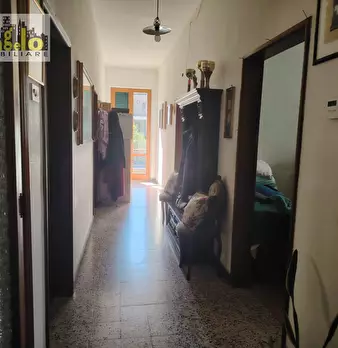 Foto annuncio 7