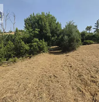Foto annuncio 9