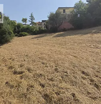 Foto annuncio 11