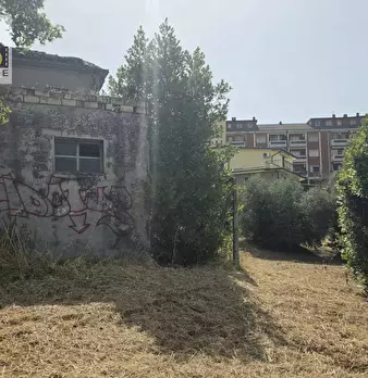 Foto annuncio 4