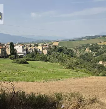 Foto annuncio 6