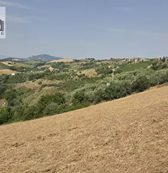 Foto annuncio 12
