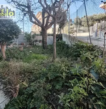 Foto annuncio 21