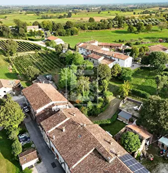 Foto annuncio 24