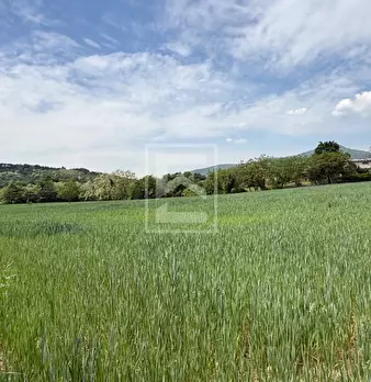Foto annuncio 15