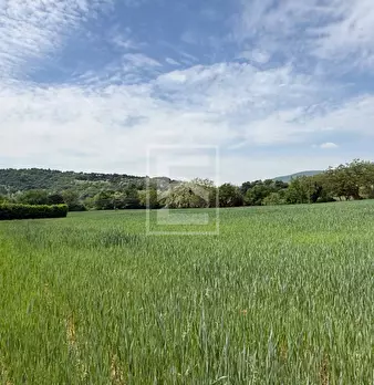 Foto annuncio 17