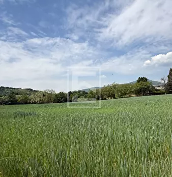 Foto annuncio 19