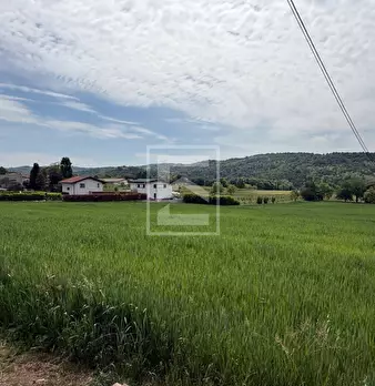 Foto annuncio 20