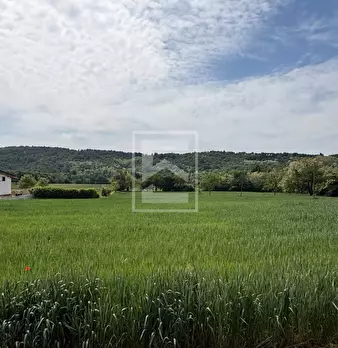 Foto annuncio 21