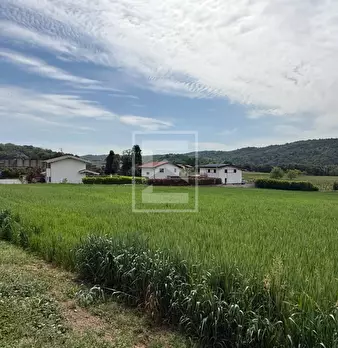 Foto annuncio 23