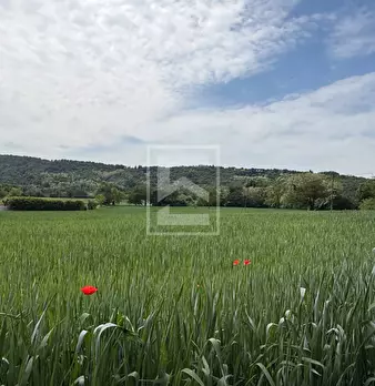 Foto annuncio 26