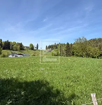 Foto annuncio 26