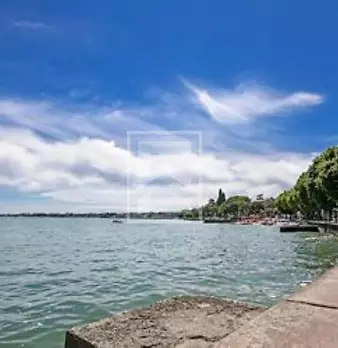 Foto annuncio 43
