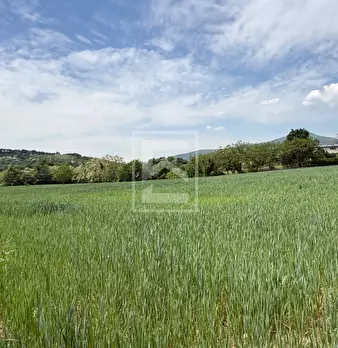 Foto annuncio 16