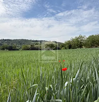 Foto annuncio 17