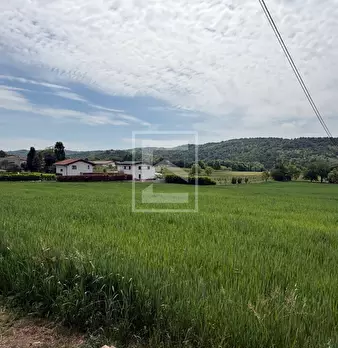 Foto annuncio 21