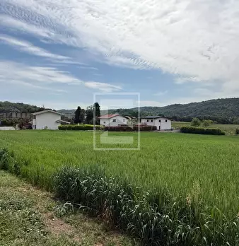 Foto annuncio 24