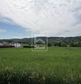 Foto annuncio 22