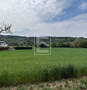 Foto annuncio 28