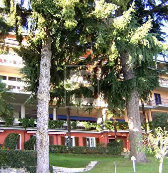 Foto annuncio 11