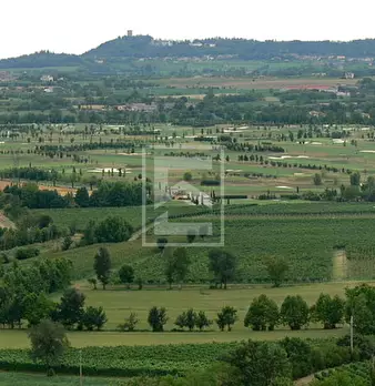 Foto annuncio 29