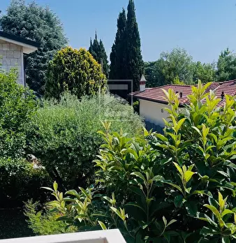 Foto annuncio 6