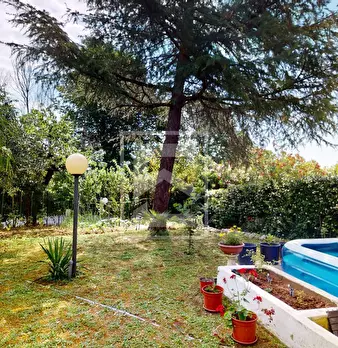 Foto annuncio 31